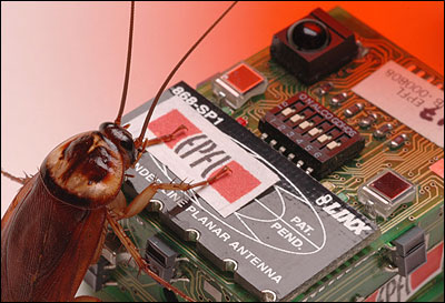 http://aftermathnews.files.wordpress.com/2007/11/robo-cockroach.jpg